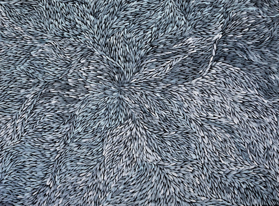 Jeannie Pitjara (Petyarre) 130cm x 96cm